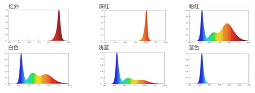 环亚币游国际(中国优质)股份有限公司