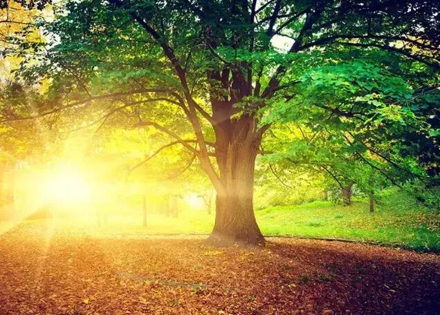 环亚币游国际(中国优质)股份有限公司