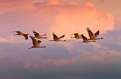 环亚币游国际(中国优质)股份有限公司