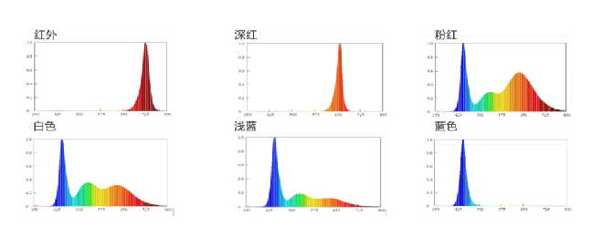 环亚币游国际(中国优质)股份有限公司