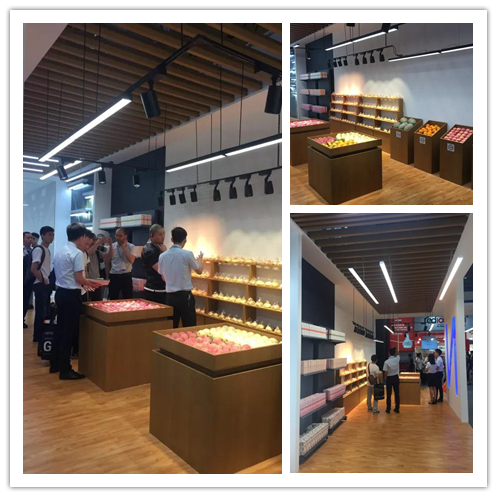 环亚币游国际(中国优质)股份有限公司