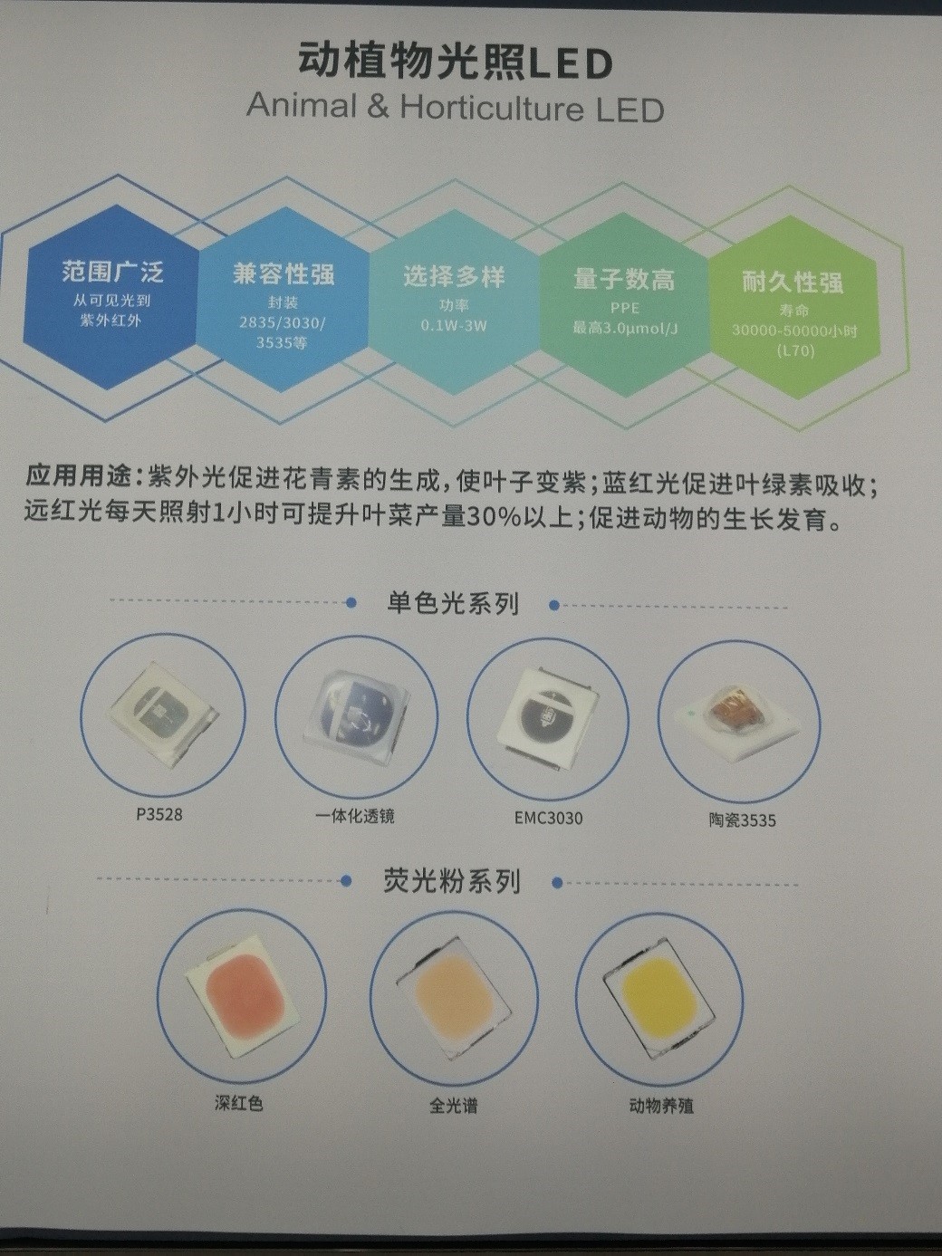 环亚币游国际(中国优质)股份有限公司