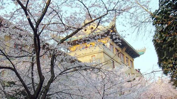 环亚币游国际(中国优质)股份有限公司