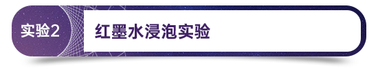 环亚币游国际(中国优质)股份有限公司