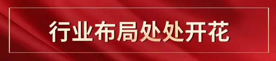 环亚币游国际(中国优质)股份有限公司