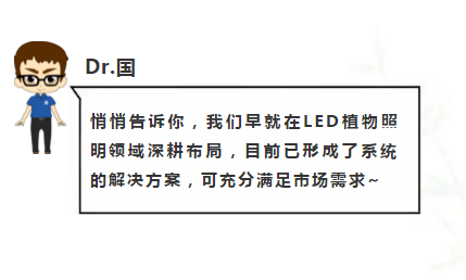 环亚币游国际(中国优质)股份有限公司