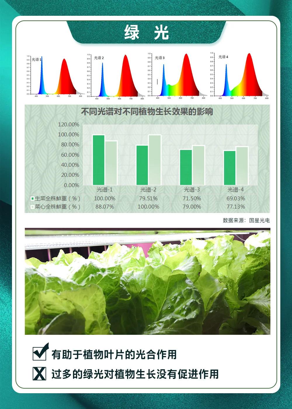 环亚币游国际(中国优质)股份有限公司