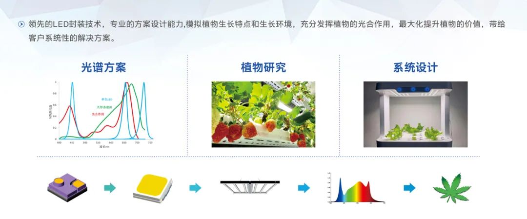 环亚币游国际(中国优质)股份有限公司