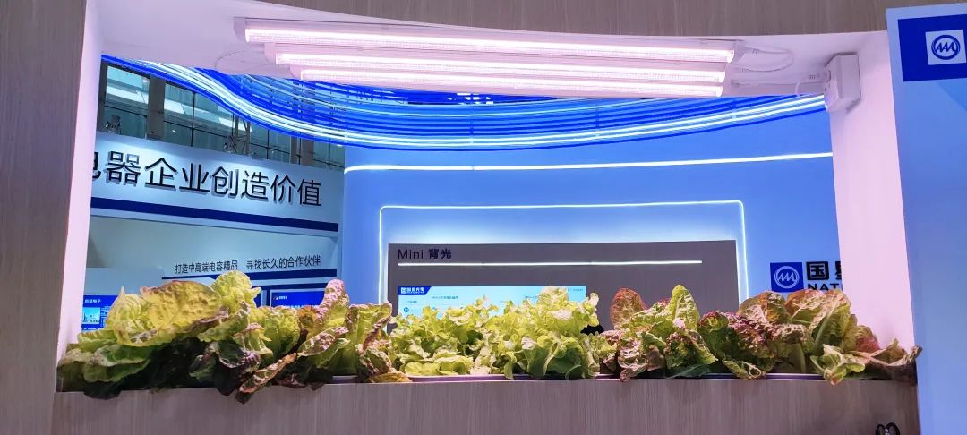 环亚币游国际(中国优质)股份有限公司