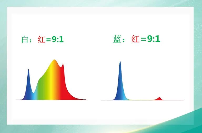 环亚币游国际(中国优质)股份有限公司