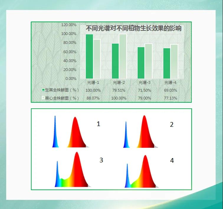 环亚币游国际(中国优质)股份有限公司
