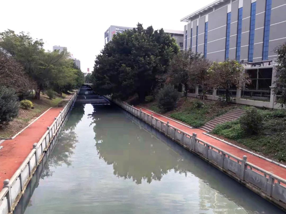 环亚币游国际(中国优质)股份有限公司